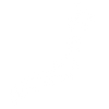 Made in Japan